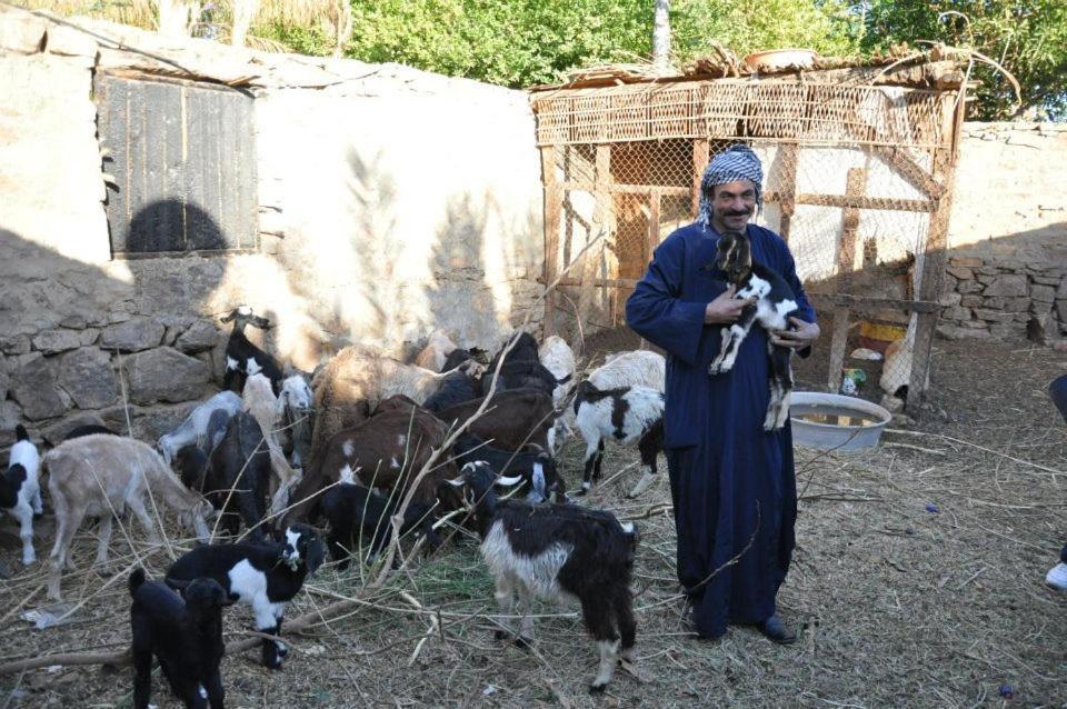 Villa Nubian Farm Assuan Esterno foto