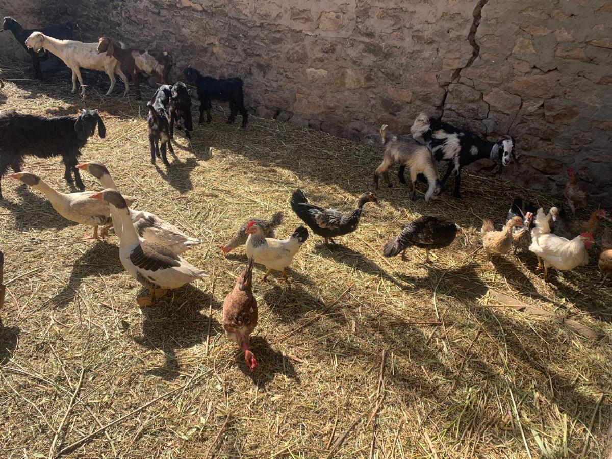 Villa Nubian Farm Assuan Esterno foto